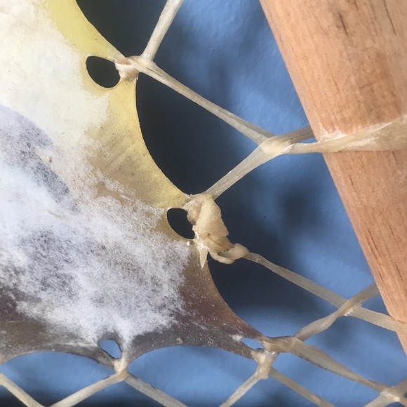 Rustic handpainted on leather & wood sticks frame Native American oil painting - Picture 4 of 16